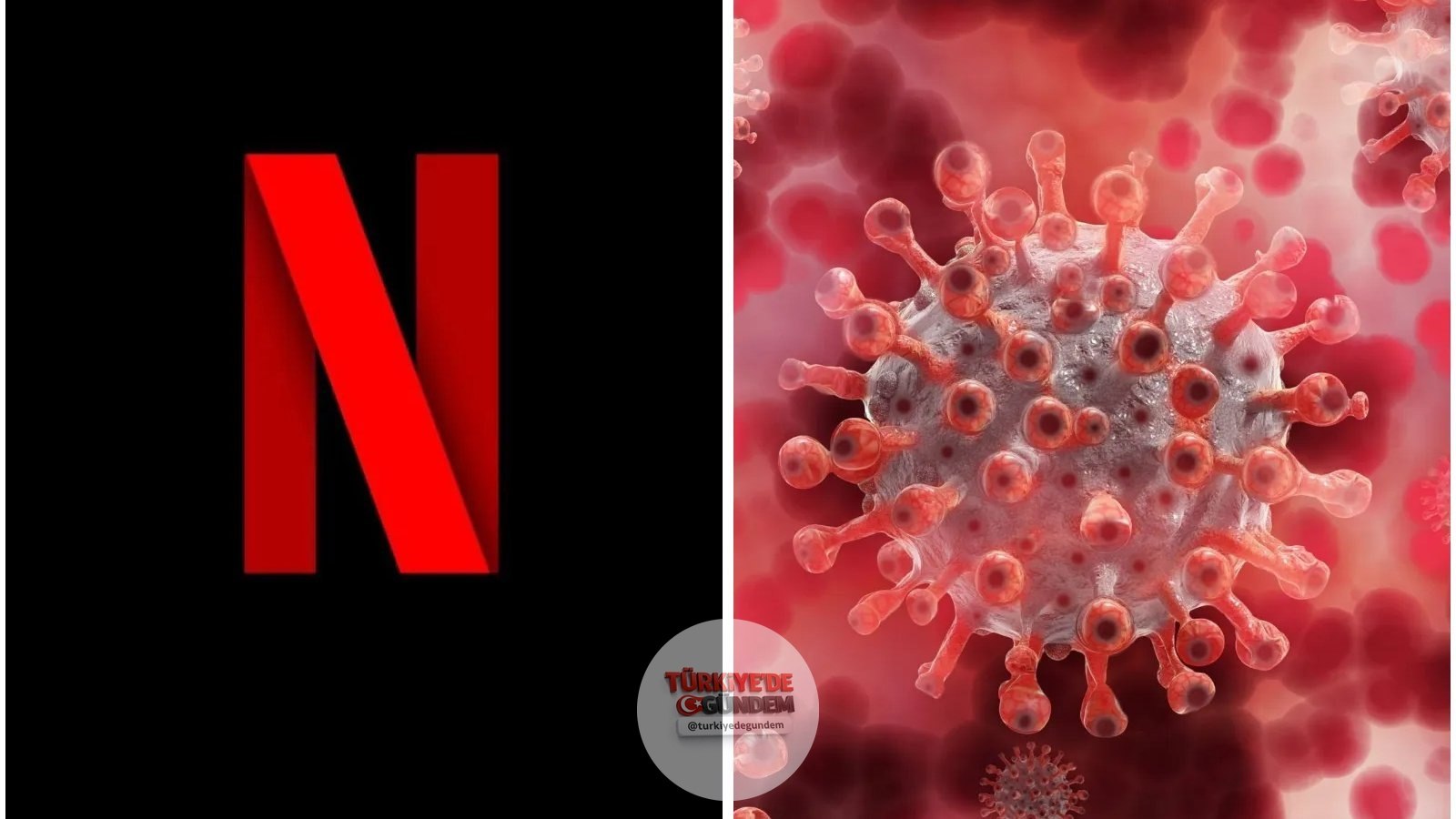 SON DAKİKA: Netflix, olası bir Hantavirüs karantinası endişeleri arasında aylık abonelik ücretini 50 dolara yükseltti. #sondakika #haber #deprem #gündem