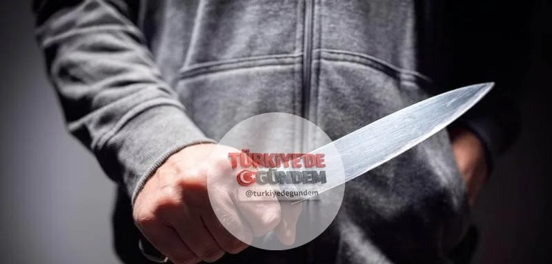 Ankara'da mahkeme, boşanma aşamasındaki eşini 58 yerinden bıçaklayarak katleden şahsa verilen ağırlaştırılmış müebbet hapis cezasının gerekçesinde, 58 bıçak darbesinin "canavarca his" unsurunu oluşturmayacağına hükmetti