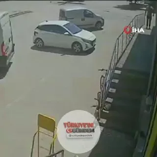 Antalya'da yabancı uyruklu şahıs önce kedinin üzerine bastı, sonra köpeği tekmeledi