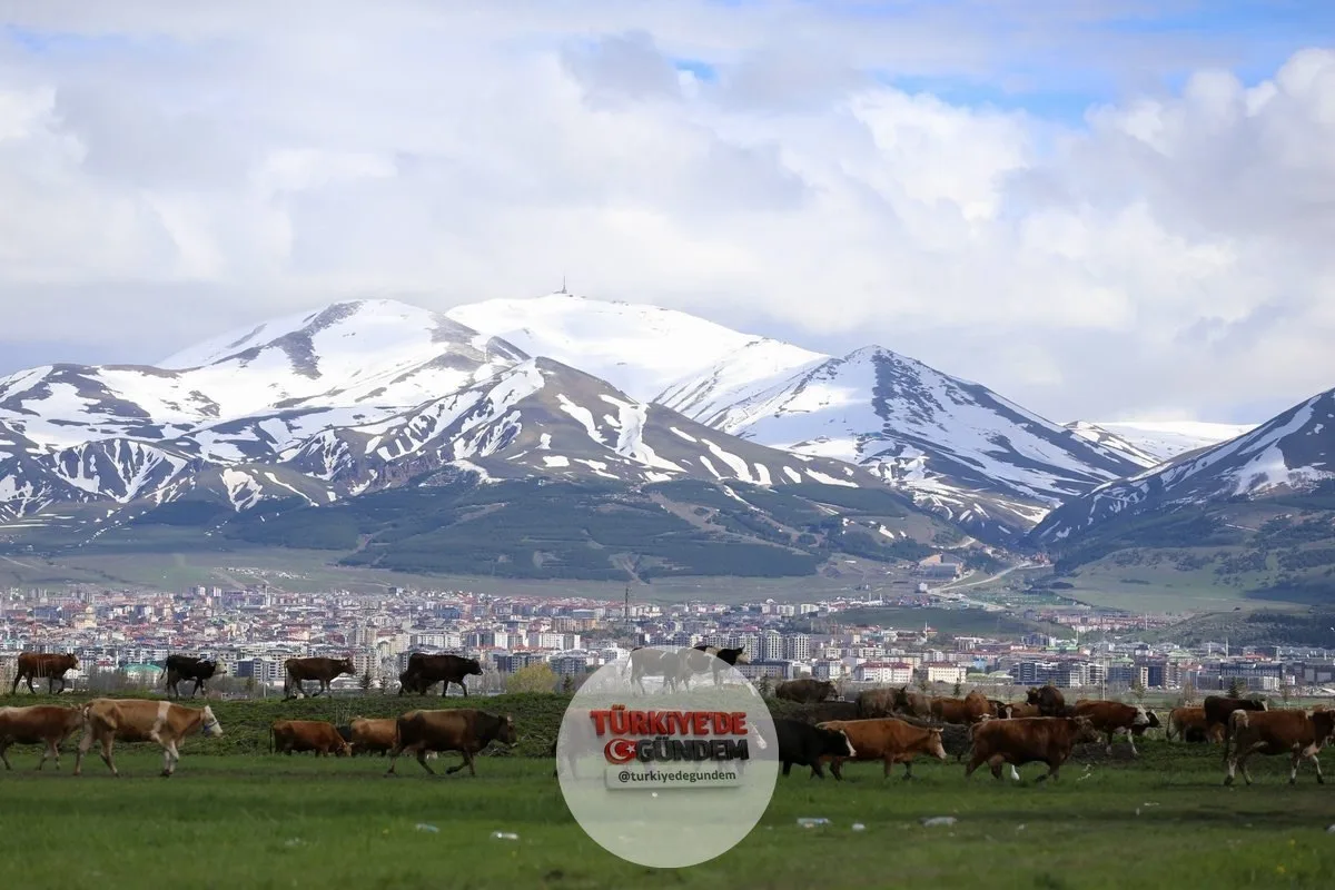 Palandöken Dağı karla kaplıyken Erzurum Ovası baharın gelişiyle yeşile büründü
