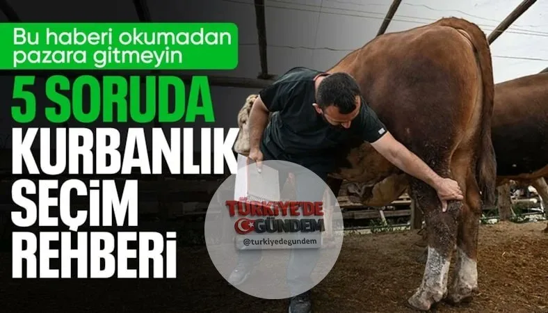 Kurbanlık hayvan seçiminde dikkat edilmesi gerekenler! an-seciminde-dikkat-edilmesi-gerekenler-h1535142