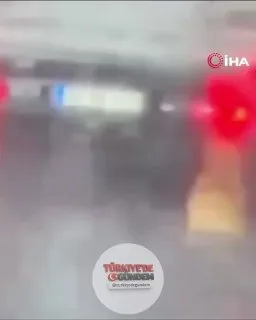 Samsun’da kamyonetin arkasında bir köpeğin sürüklendiği görüntülerin ardından gözaltına alınan sürücü, adli kontrol şartıyla serbest bırakıldı