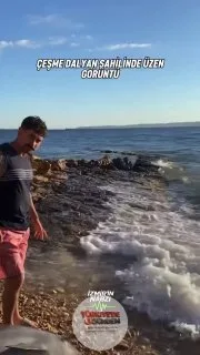Çeşme'de kıyıya vurmuş halde yunus bulundu