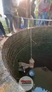 Bu yolun sonu; nefesini tut ve ona kadar say.