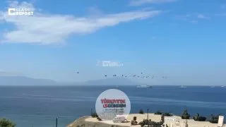 EFES 2026 Tatbikatı kapsamında gerçekleştirilen geniş çaplı hava hücum harekatında 21 helikopter görev aldı. ATAK, Chinook, Cougar ve S-70 tipi helikopterlerle komando birlikleri bölgeye intikal ettirilirken, BORAN obüsleri ve komuta kontrol araçları