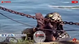 Çin ordusu, kuş görünümlü insansız hava araçları kullanıyor.