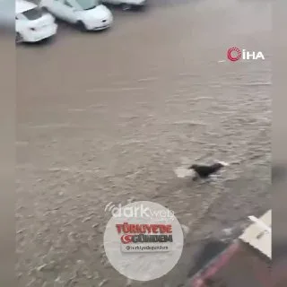 Ankara'da, şiddetli sağanak yağışların ardından sel sularına kapılan bir kişiyi kurtarmaya çalışan vatandaşlar da akıntıya kapıldı.