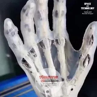 Çinli robotik girişimi Rochu Robotics, doğal hareket kabiliyeti için insan benzeri bir iskelet yapısına sahip insansı bir el geliştirdi. Elektrik motorları yerine hidrolik bir sistem ve 24 biyomimetik tendon kullanan bu tasarım; esnekliği, gücü ve ha