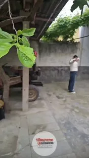 Yıllardır sapan eğitimi alan kadın, gördüğü en küçük sineği bile tam isabetle vurabilecek bir seviyeye ulaştı.