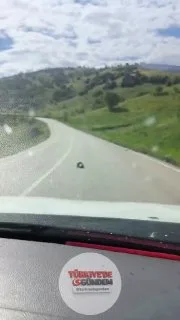 Bayram tatili için köylerine giden vatandaşlar, yol ortasında karşılaştıkları kaplumbağaları görüntüledi.