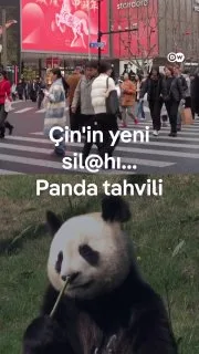 Çin artık dünyaya sadece ucuz ürünler satmıyor, ucuz para da satıyor Bunu "panda tahvilleriyle" yapıyor Peki, herkes son zamanlarda neden Çin'den borç para alıyor?