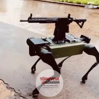 Haydarabad merkezli Zen Technologies, 2024 yılında küresel savunma pazarı için geliştirilen yapay zeka destekli robot köpek Prahasta'yı tanıttı. Navigasyon ve görev planlaması için gerçek zamanlı 3D haritalar oluşturmak amacıyla LiDAR ve pekiştirmeli