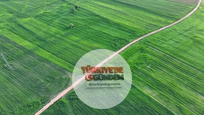 Hububat üretiminde rekor bekleniyor Toprak Mahsulleri Ofisince yapılan analize göre, ülke genelinde üretim sezonunun geçen yıla kıyasla daha iyi gerçekleşmesi öngörülüyor" Hasat dönemine kadar üretimi etkileyebilecek olumsuz bir durum yaşanmazsa, ülk