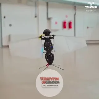 Flapper, pervane yerine kanat çırparak uçan kuş benzeri bir drone olarak tasarlandı. Yusufçuklardan esinlenilen dört yumuşak kanada sahip bu hafif drone, daha az enerji harcayarak her yöne uçabiliyor. Uzaktan kontrol edilebilen Flapper drone'lar, kap