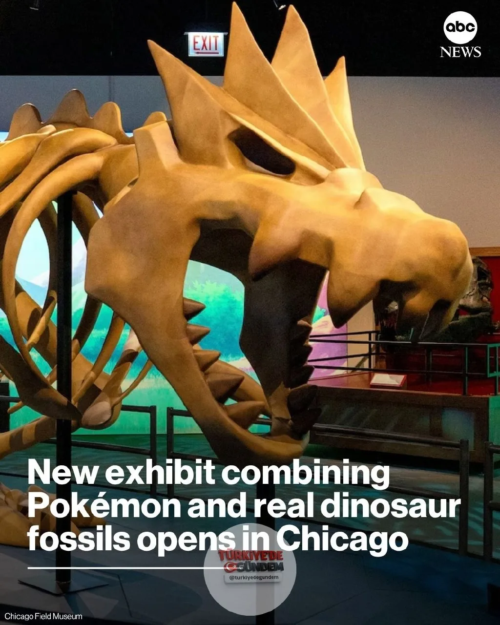"Hepsini yakalamalıyım" sloganı, hem Pokémon tutkunlarının hem de fosil avına çıkan paleontologların kendilerinden bir şeyler bulabileceği bir ifade. Şimdi, bu sevilen mega serinin hayranları ve dinozor meraklıları, Pokémon Fosil Müzesi sergisi için
