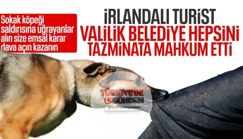 İstanbul Yenikapı Metro İstasyonu’nda sokak köpeği saldırısında yaralanan İrlandalı turistin açtığı davada mahkeme, İstanbul Valiliği, İBB ve Fatih Belediyesi’nin toplam 256 bin 713 lira tazminat ödemesine hükmetti