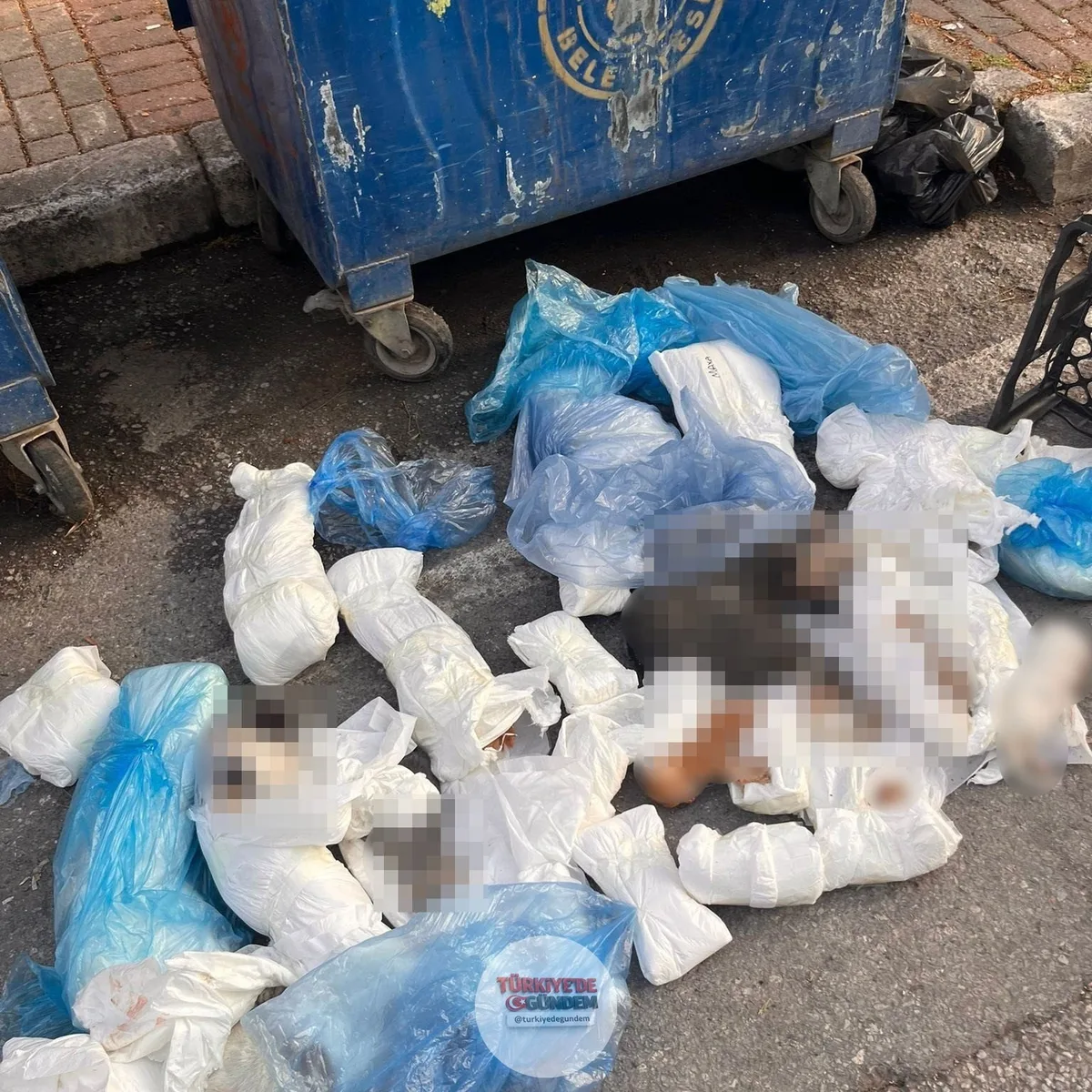 Soruşturma kapsamında serbest bırakılan ve olayla ilişiği bulunan veteriner hekim, İzmir Cumhuriyet Başsavcılığı’nın karara itiraz etmesi üzerine yeniden gözaltına alındı