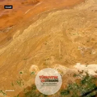 Kocaeli'de deniz kirliliği etkisini gösterdi. Bölgeden kötü koku yayıldığı da bildirildi.