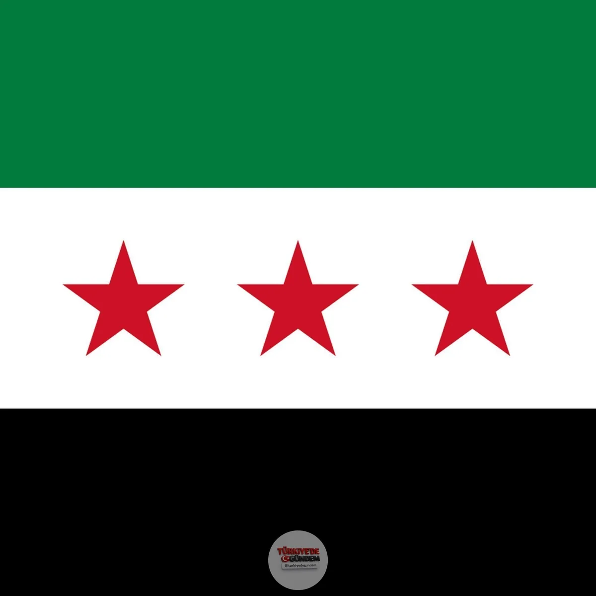 Suriye, Almanya'nın 800 bin Suriyelinin ülkelerine geri gönderilmesine yönelik planını reddetti. Suriye Dışişleri Bakanlığı, "İnsanların zorla sınır dışı edilmesi girişimlerine tamamen karşıyız" açıklamasında bulundu.