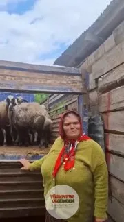 Şehit Eren Bülbül’ün annesine ev hediye eden ve her yıl kurban gönderen Sedat Peker, bu yıl da aileyi unutmadı. Sedat Peker, PKK’lı teröristlerin yerlerini gösterirken şehit edilen 15 yaşındaki Eren Bülbül’ün fotoğrafını 9 yıldır kapak resmi olarak k