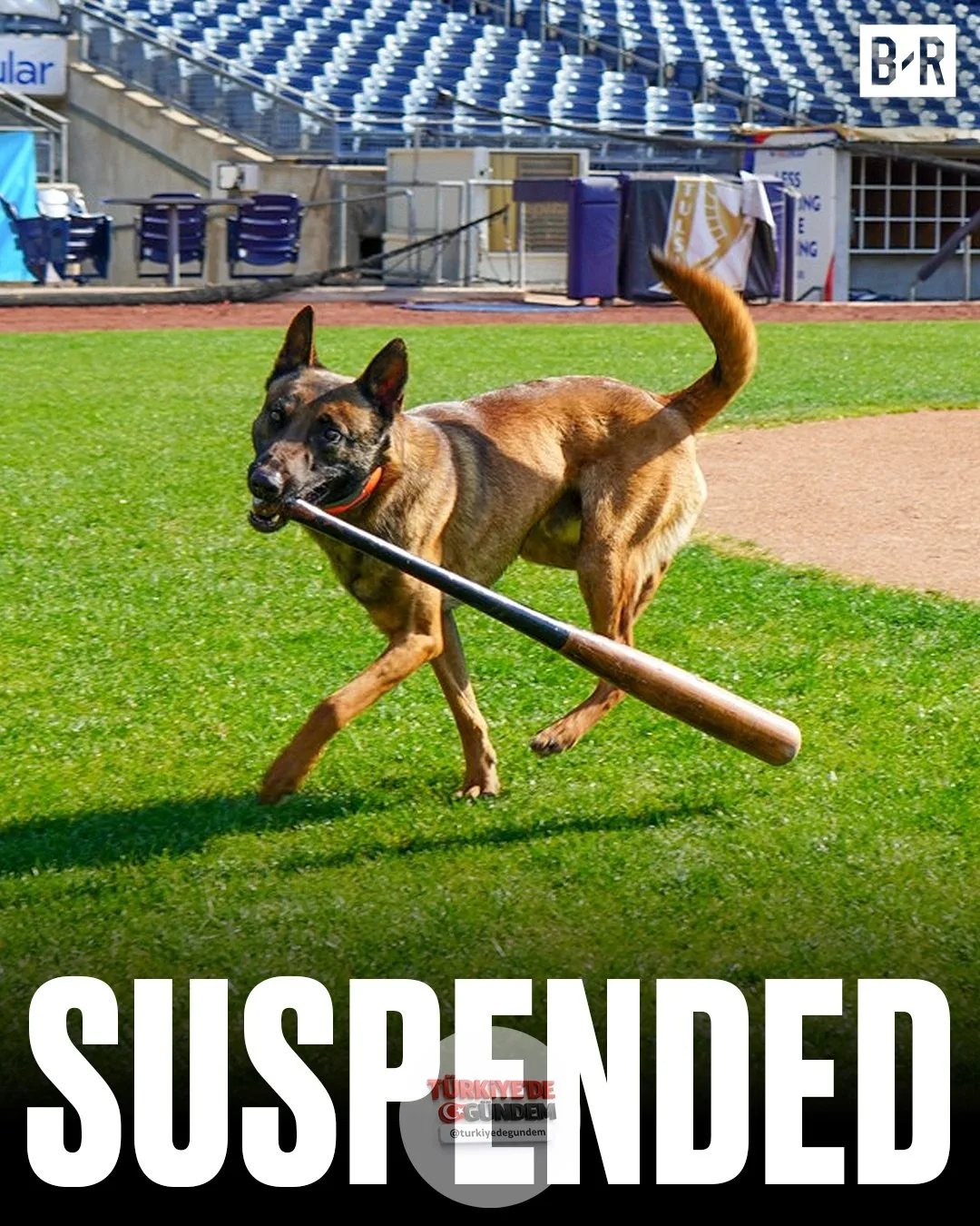 Dodgers'ın Double-A seviyesindeki iştiraki Tulsa Drillers, eski birinci tur seçimleri Kendall George'un bir "sopacı köpek"ten kaçarken diz kapağından sakatlanması üzerine, köpekli sopa toplama programını askıya almayı planlıyor. (Kaynak: @TulsaDrille
