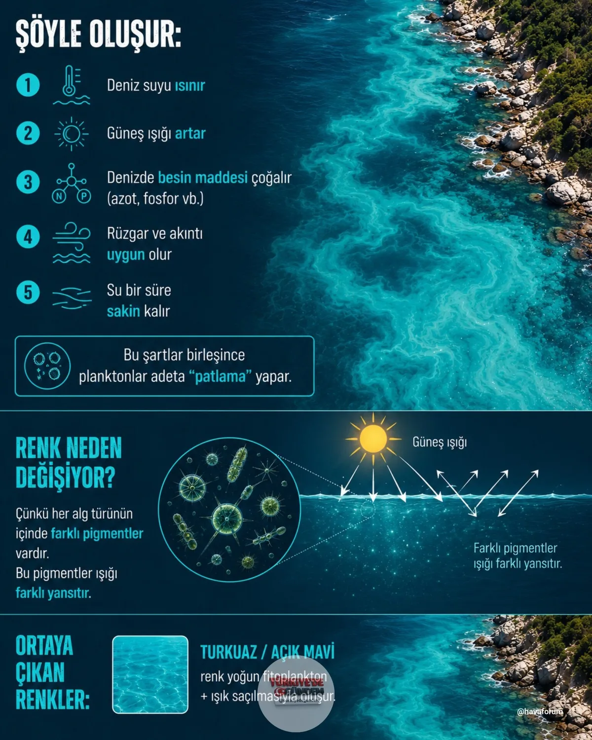 İstanbul Boğazı'ndaki bu renk değişimi nasıl oluşuyor?