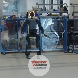 Bağdaş kur, aydınlanma dosyası çalıştırıldı, selam olsun sürtükler.