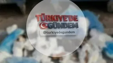 33 kediyi öldüren ve serbest bırakılan veteriner, başsavcılığın itirazı üzerine yeniden gözaltına alındı ve tutuklandı