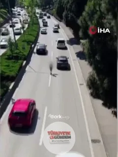 Bursa'da bir çocuk, akan trafiğin ortasında canını hiçe sayarak yürüdü.