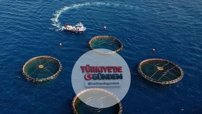 Su ürünleri ihracatında rekor: 2,2 milyar dolar. Ticaret Bakanlığı, Türkiye'nin 2025 yılında 133 ülkeye toplam 2,26 milyar dolarlık su ürünleri ihracatı gerçekleştirdiğini açıkladı. Son dört yılda yüzde 64 oranında büyüyen sektörün ihracat artış hızı