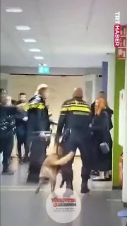 Hollanda polisi, sınır dışı edilmek üzere polis nezaretinde bekleyen Gazzeli bir bireye ve hamile eşine şiddet uyguladı.