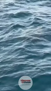 İran'ın Hürmüz Boğazı'na döşediği deniz mayınlarının görüntüleri kaydedildi.