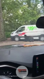 Kuzey Carolina'da park halindeki bir U-Haul kamyonetine giren ayı, ağzında bir çantayla kaçarken suçüstü yakalandı.
