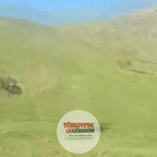 Konya'nın Karapınar ilçesinde motokros yaptığı sırada kaza geçirerek yaralanan sürücü, hava ambulansıyla hastaneye kaldırıldı.
