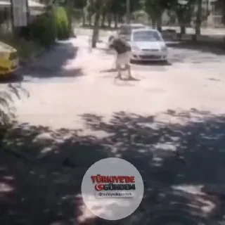 Antalya'ya tatil için gelen bir vatandaş, oteline dönerken kargaların saldırısına uğradı.