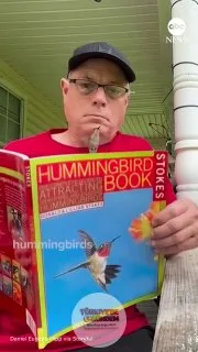 Georgia'da sinek kuşlarını nasıl çekeceğine dair bir kitap okuyan adamın, aslında hiçbir tavsiyeye ihtiyacı olmadığı ortaya çıktı.