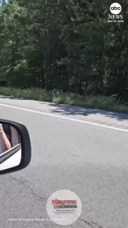 Maryland'de firar eden bir emu, otoyolda saatler süren kovalamacanın ardından polis tarafından yakalanarak sahiplerine teslim edildi.