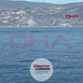 Hatay'ın Samandağ ilçesi açıklarında bir balina görüldü.