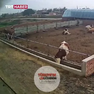 Çin'de meydana gelen hortumun yarattığı tahribat görüntülere yansıdı.