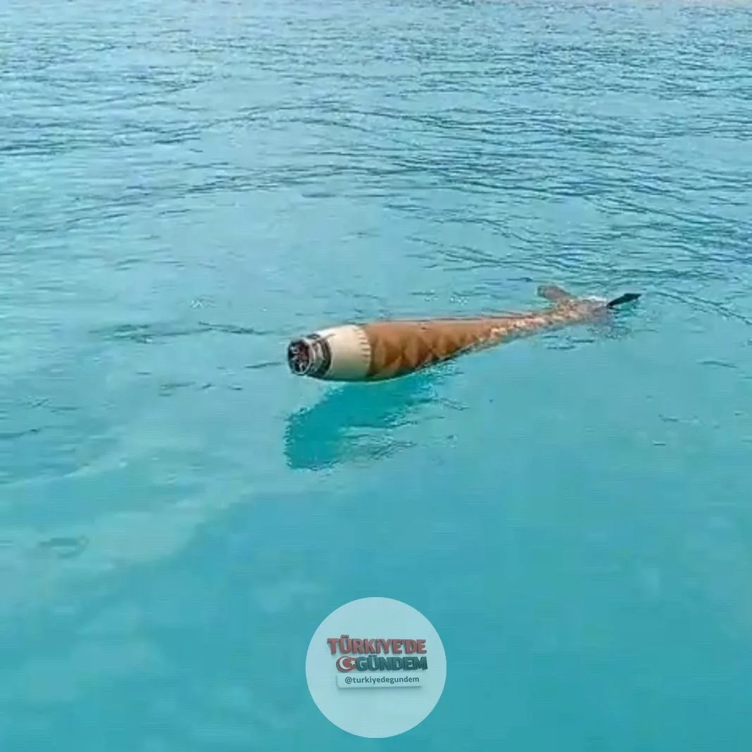 Sinop'un Ayancık ilçesi açıklarında mühimmat olduğu değerlendirilen bir cisim bulundu.