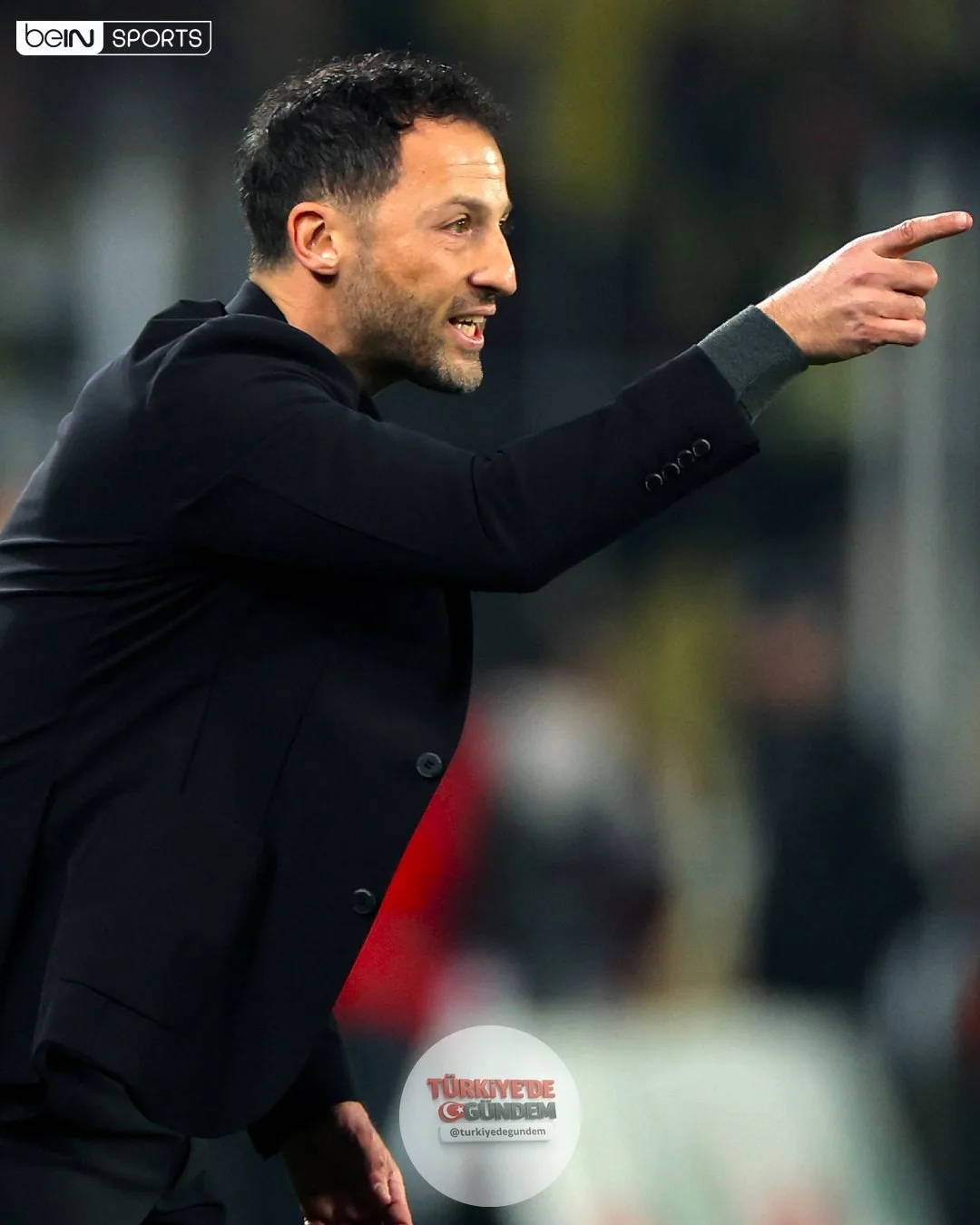 Bologna, teknik direktörlük görevine Domenico Tedesco'nun getirildiğini açıkladı!