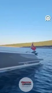 Bodrum'da bir Akdeniz foku, motor yatın üzerinde seyahat ederken görüntülendi. Akdeniz fokunun 8 yıldır bölgede yaşadığı öğrenildi.