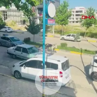 Diyarbakır'ın Ergani ilçesinde karayoluna çıkan sahipsiz bir eşek, trafikte kısa süreli paniğe neden oldu. Yolda ilerleyen sürücüler, hayvana çarpmamak için hızlarını düşürüp dikkatli manevralar yaparken, o anlar trafikte aksamalara yol açtı.