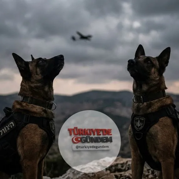 İSRAİL ÇARESİZ KALDI: HİZBULLAH DRONLARINI DURDURMAK İÇİN KÖPEKLERİ EĞİTECEKLER!