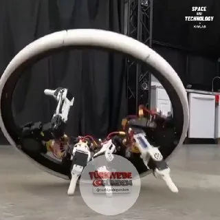 Star Wars'tan esinlenilen Ringbot, önemli bir güncelleme alarak Ringbot Quad adını aldı. Illinois Urbana-Champaign Üniversitesi'nden Profesör Joohyung Kim ve ekibi tarafından geliştirilen yeni versiyon, iki yerine dört bacağa sahip. Geleneksel bir ak