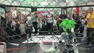 Rusya'nın St. Petersburg kentinde düzenlenen SPIEF'te ilginç anlar: Robot boksör, rakibine tek bir yumruk bile atmadan nakavtla kazandı.