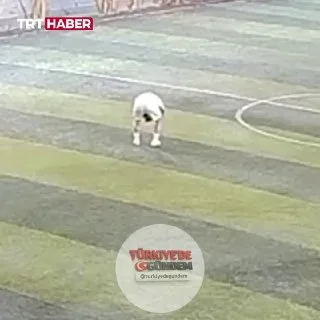 Malatya’da halı sahada dili geriye kaçan futbolcu, tesis yöneticisi ve antrenörün yaptığı hızlı müdahale sayesinde kurtuldu