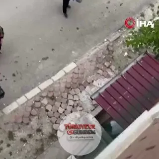 Sakarya'da bir eve giren yılan, ihbar üzerine olay yerine gelen belediye ekipleri tarafından çıplak elle yakalandı. Yerleşim alanından uzaklaştırılan yılan, daha sonra doğal ortamına bırakıldı.