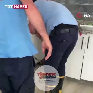 Gaziantep'te bir eve giren yılan, ekipler tarafından yakalandı.