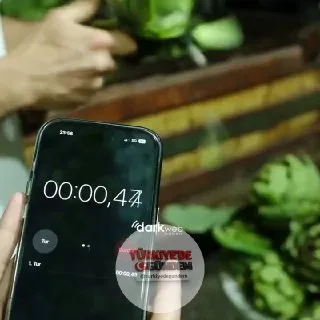 Enginar soyarak aylık 240 bin TL kazanan işçi, bir enginarı 10 saniyede soyabiliyor.